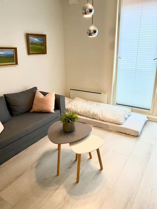 Appartement Koselig Og Sentralt Midt I Fargegaten